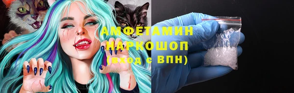 сатива Новокубанск