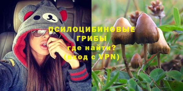 мескалин Новозыбков