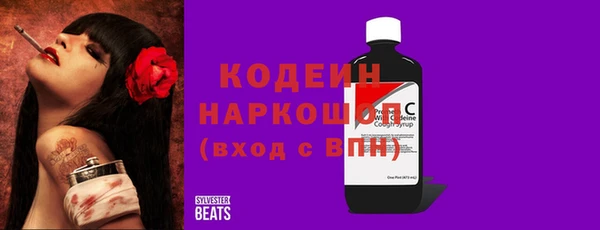 трава Няндома