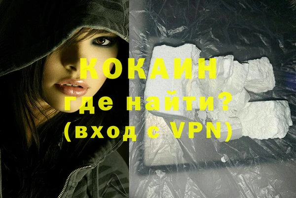сатива Новокубанск