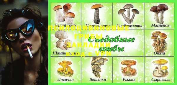 мескалин Новозыбков