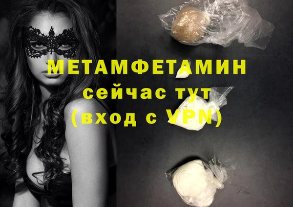 сатива Новокубанск
