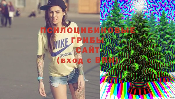 мескалин Новозыбков
