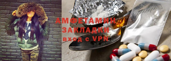 трава Няндома