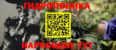 шишки Заводоуковск