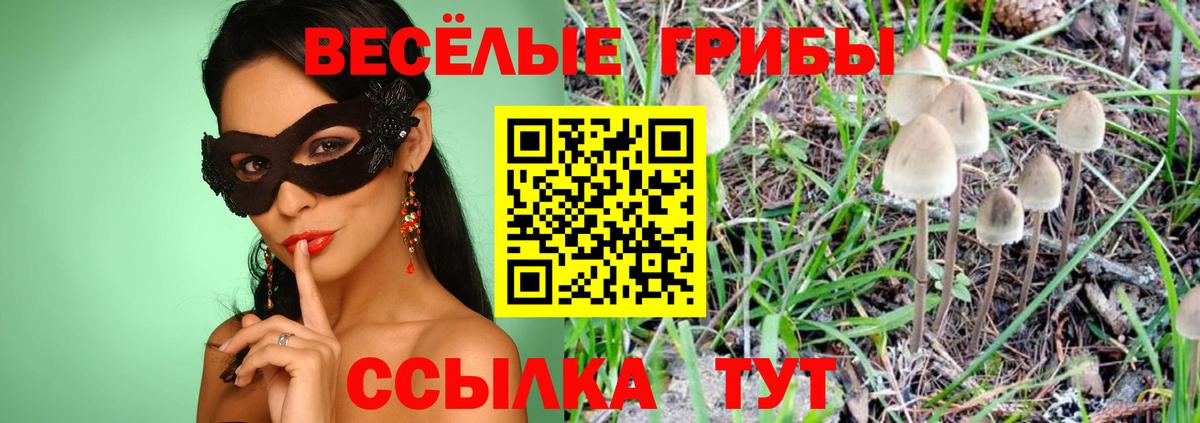 Татарск  Галлюциногенные грибы Cubensis  Вход с VPN 