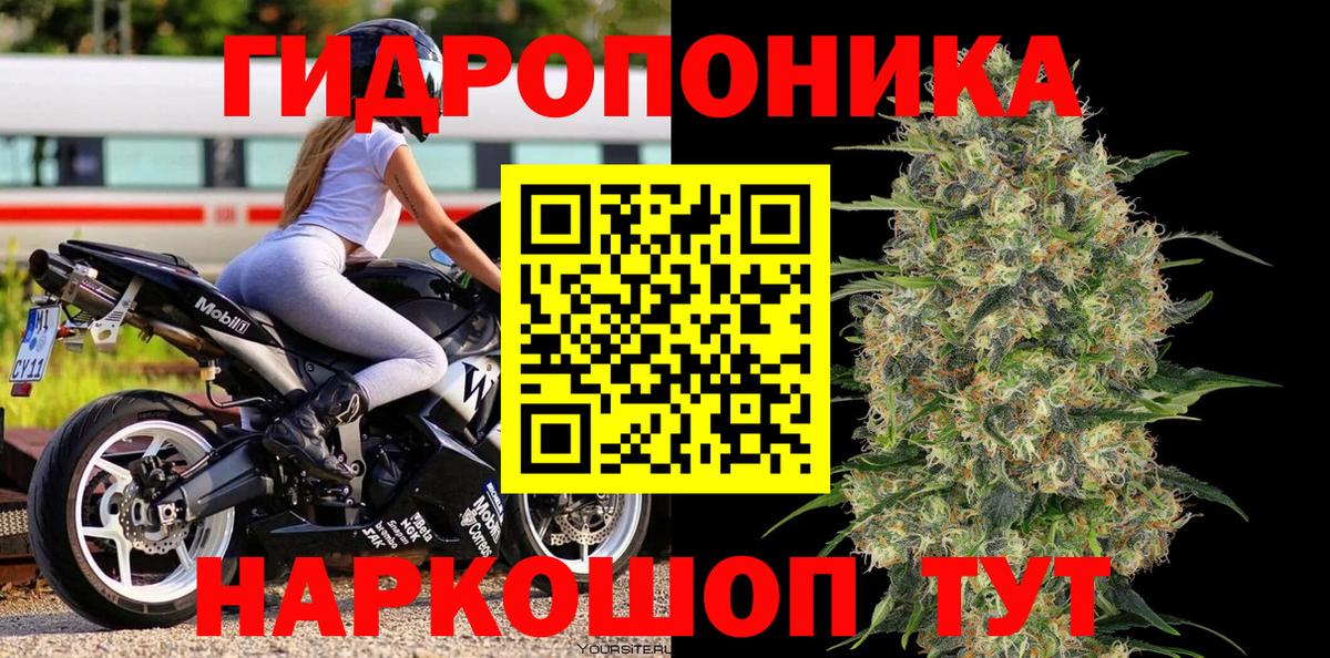 Бошки Шишки гибрид  Канабис Ganja  Татарск  Канабис SATIVA & INDICA  Бошки марихуана планчик 